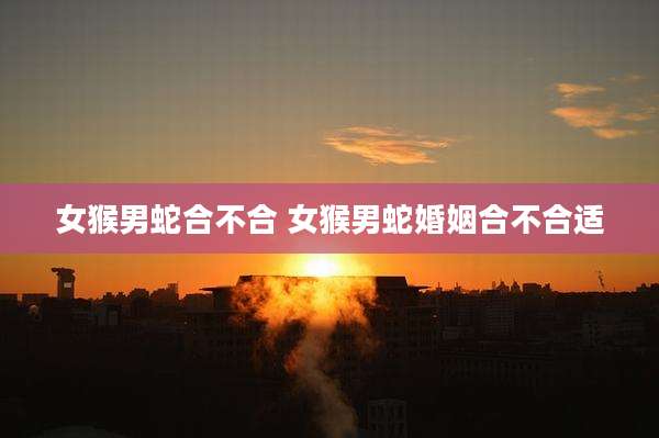女猴男蛇合不合 女猴男蛇婚姻合不合适