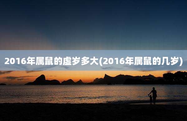 2016年属鼠的虚岁多大(2016年属鼠的几岁)