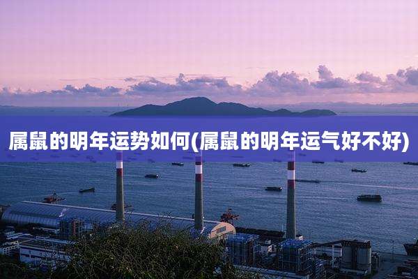 属鼠的明年运势如何(属鼠的明年运气好不好)
