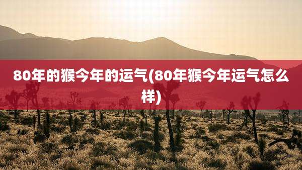 80年的猴今年的运气(80年猴今年运气怎么样)