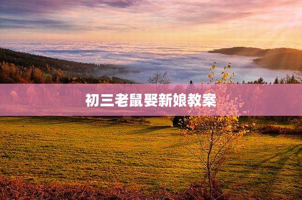 初三老鼠娶新娘教案