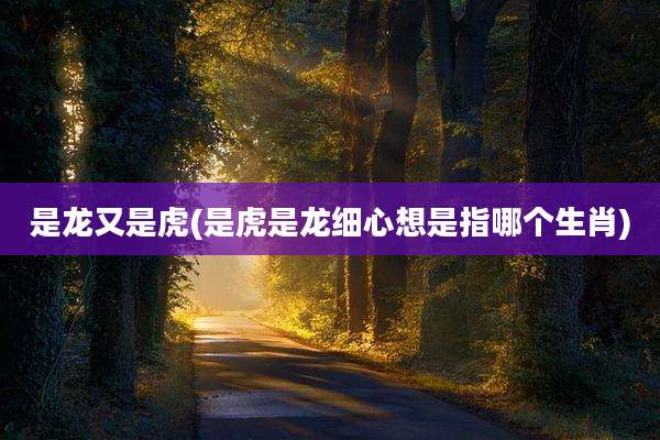 是龙又是虎(是虎是龙细心想是指哪个生肖)