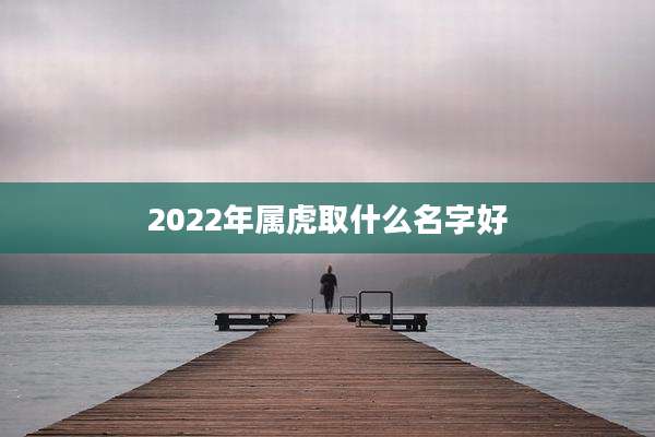 2022年属虎取什么名字好