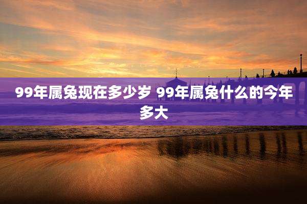 99年属兔现在多少岁 99年属兔什么的今年多大