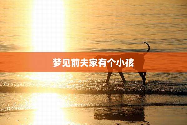 梦见前夫家有个小孩