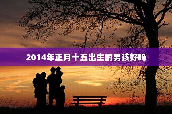 2014年正月十五出生的男孩好吗