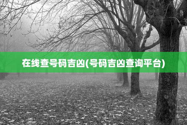 在线查号码吉凶(号码吉凶查询平台)