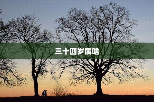 三十四岁属啥