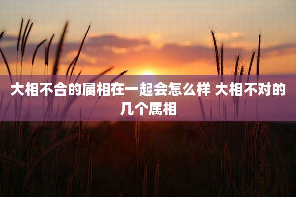 大相不合的属相在一起会怎么样 大相不对的几个属相