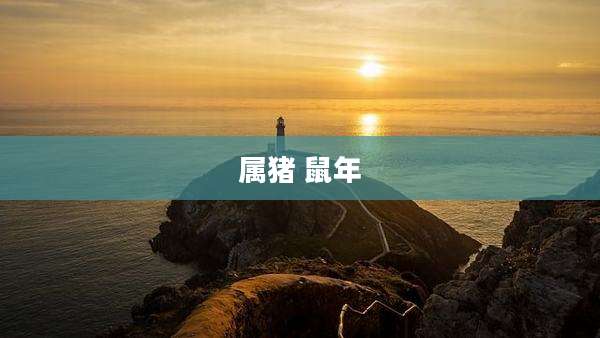 属猪 鼠年