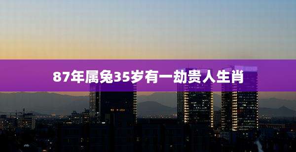 87年属兔35岁有一劫贵人生肖