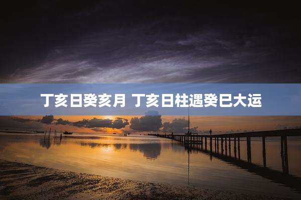 丁亥日癸亥月 丁亥日柱遇癸巳大运