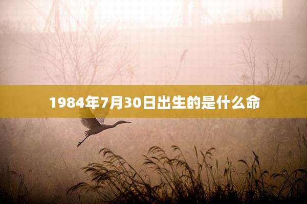 1984年7月30日出生的是什么命