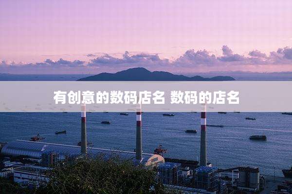 有创意的数码店名 数码的店名