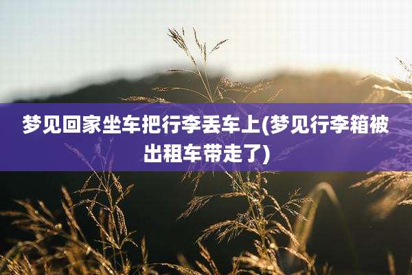 梦见回家坐车把行李丢车上(梦见行李箱被出租车带走了)