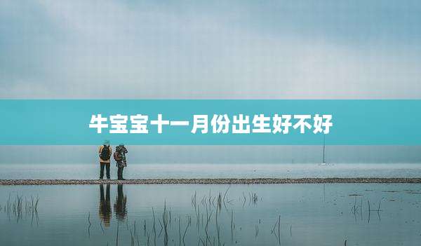 牛宝宝十一月份出生好不好