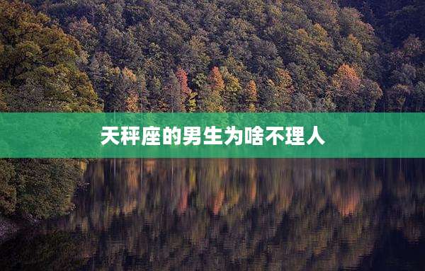 天秤座的男生为啥不理人