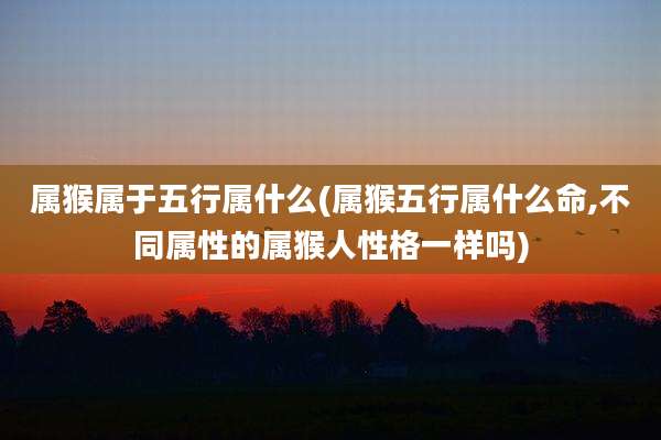 属猴属于五行属什么(属猴五行属什么命,不同属性的属猴人性格一样吗)