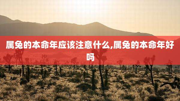 属兔的本命年应该注意什么,属兔的本命年好吗