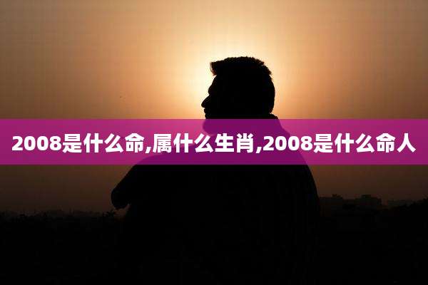 2008是什么命,属什么生肖,2008是什么命人