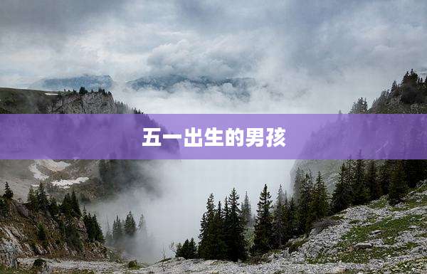 五一出生的男孩