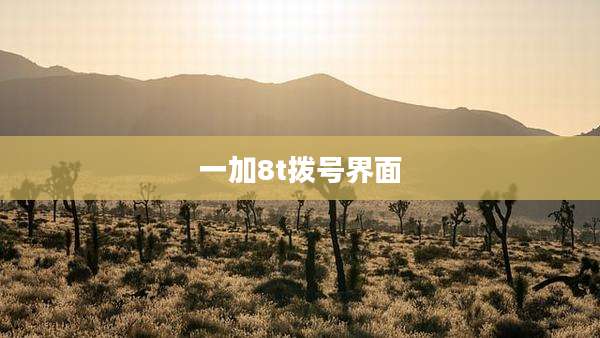 一加8t拨号界面