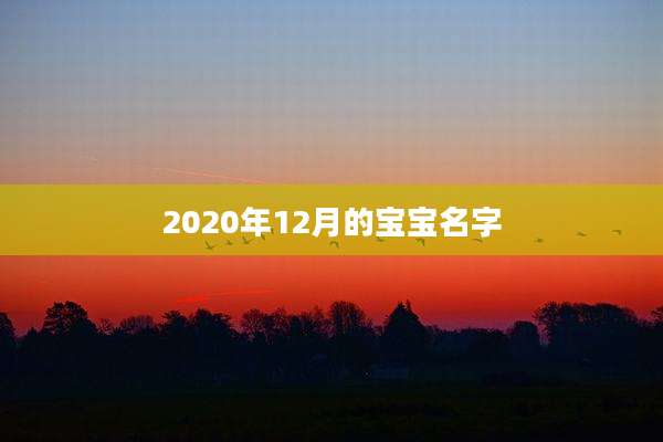 2020年12月的宝宝名字