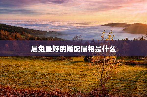 属兔最好的婚配属相是什么