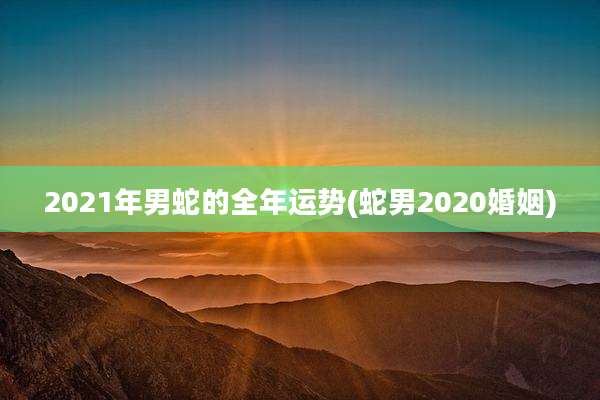 2021年男蛇的全年运势(蛇男2020婚姻)
