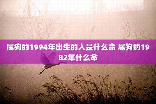 属狗的1994年出生的人是什么命 属狗的1982年什么命