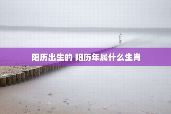 阳历出生的 阳历年属什么生肖