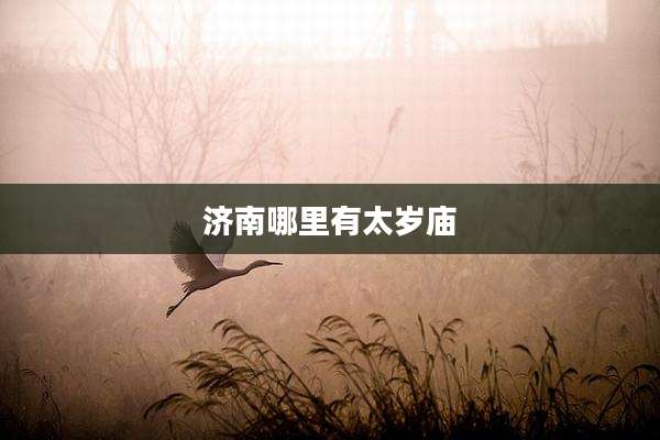 济南哪里有太岁庙