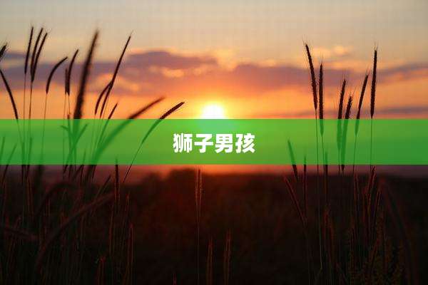 狮子男孩