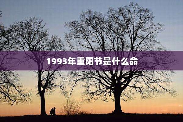 1993年重阳节是什么命