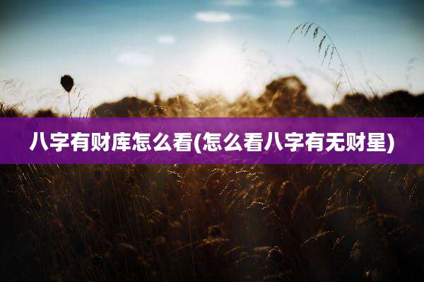 八字有财库怎么看(怎么看八字有无财星)