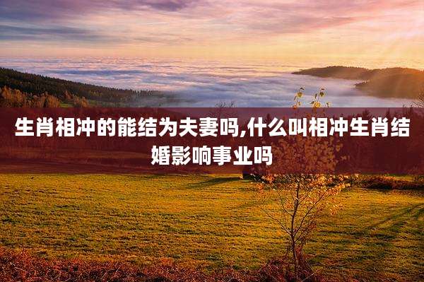 生肖相冲的能结为夫妻吗,什么叫相冲生肖结婚影响事业吗