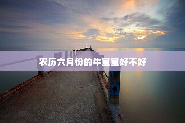农历六月份的牛宝宝好不好