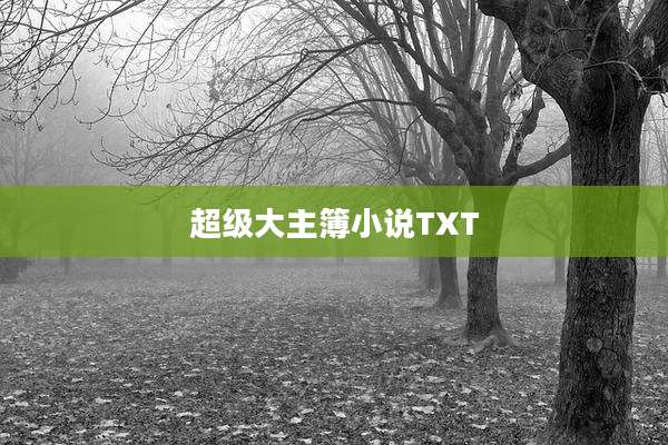 超级大主簿小说TXT