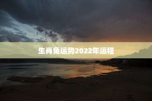 生肖兔运势2022年运程