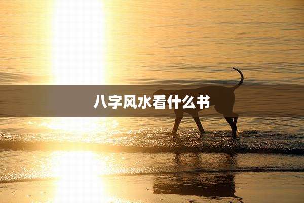 八字风水看什么书