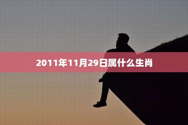 2011年11月29日属什么生肖