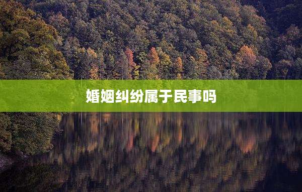婚姻纠纷属于民事吗