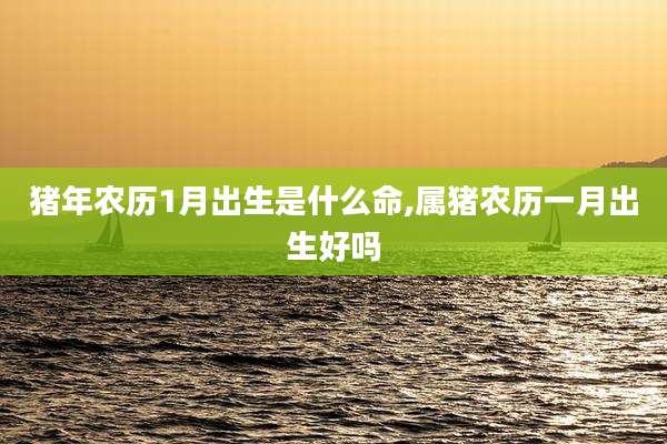 猪年农历1月出生是什么命,属猪农历一月出生好吗