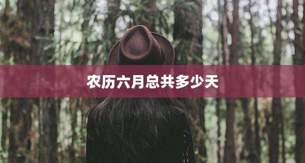 农历六月总共多少天