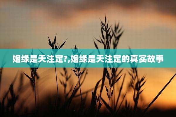 姻缘是天注定?,姻缘是天注定的真实故事