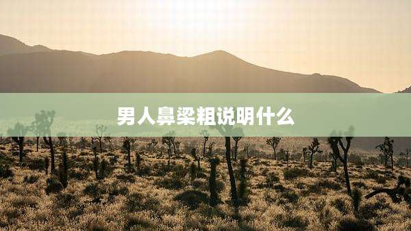 男人鼻梁粗说明什么