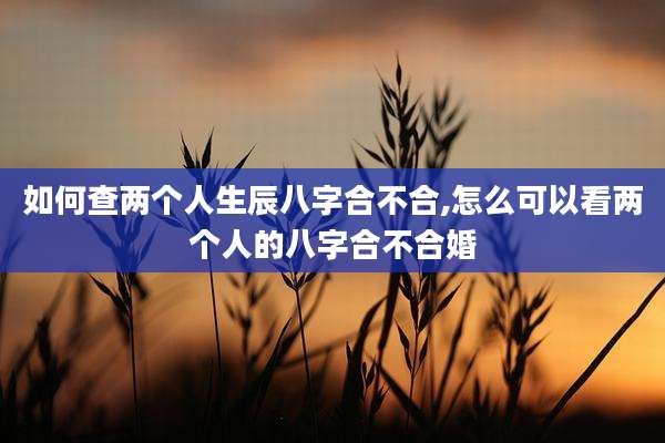 如何查两个人生辰八字合不合,怎么可以看两个人的八字合不合婚
