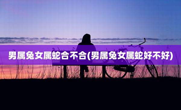 男属兔女属蛇合不合(男属兔女属蛇好不好)