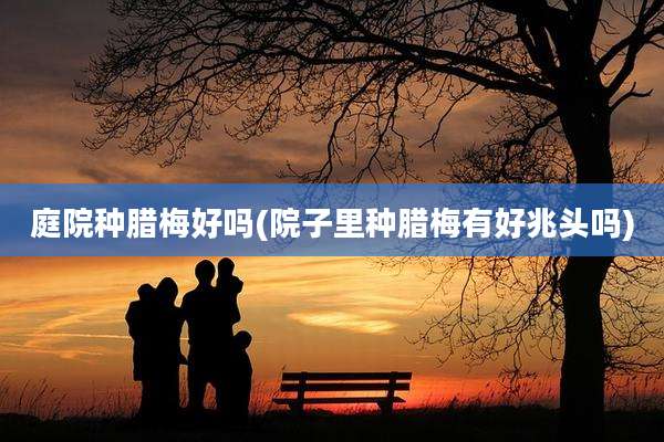 庭院种腊梅好吗(院子里种腊梅有好兆头吗)