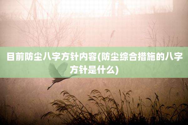 目前防尘八字方针内容(防尘综合措施的八字方针是什么)